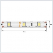 Лента светодиодная стандарт SMD2835, 60 LED/м, 4,8 Вт/м, 12В , IP65, холодный белый SWG260-12-4.8-W-65